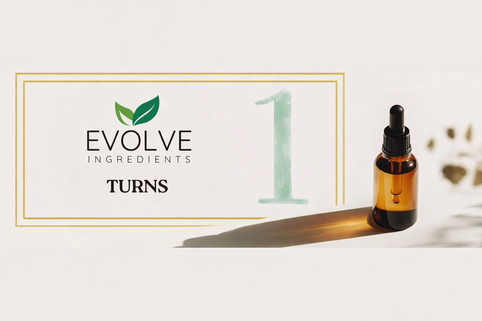 Year One Behind Us, The Future Ahead : From Vision to Reality